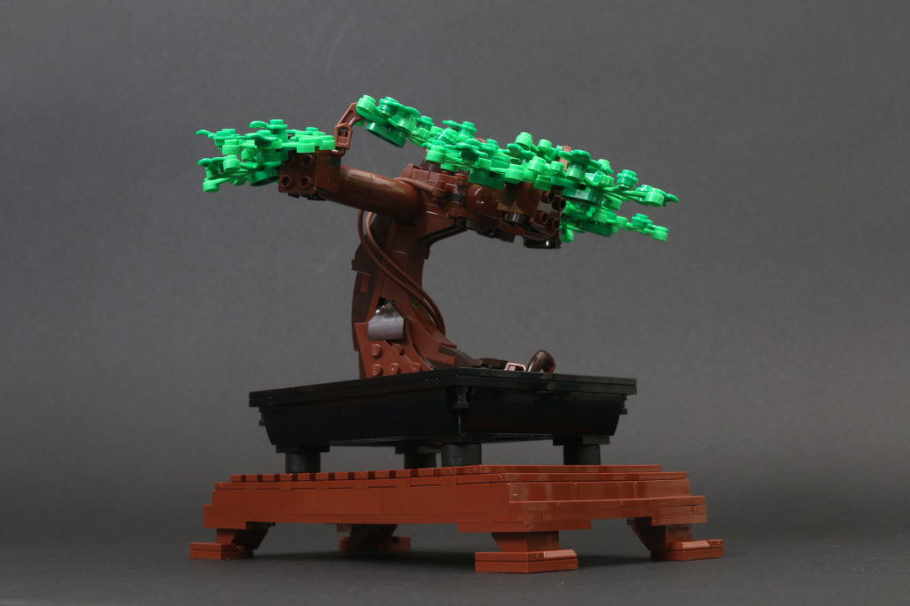 LEGO Botanical Collection 10281 Bonsai Tree review 22