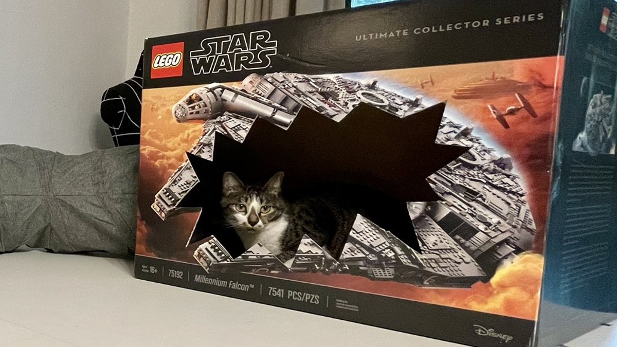 LEGO Star Wars UCS boxes seem to be a popular choice with pets
