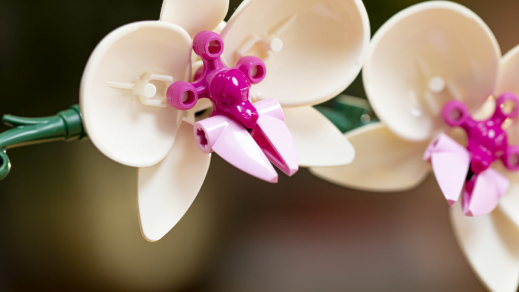 LEGO Botanical Collection 10311 Orchid 8 1024x576