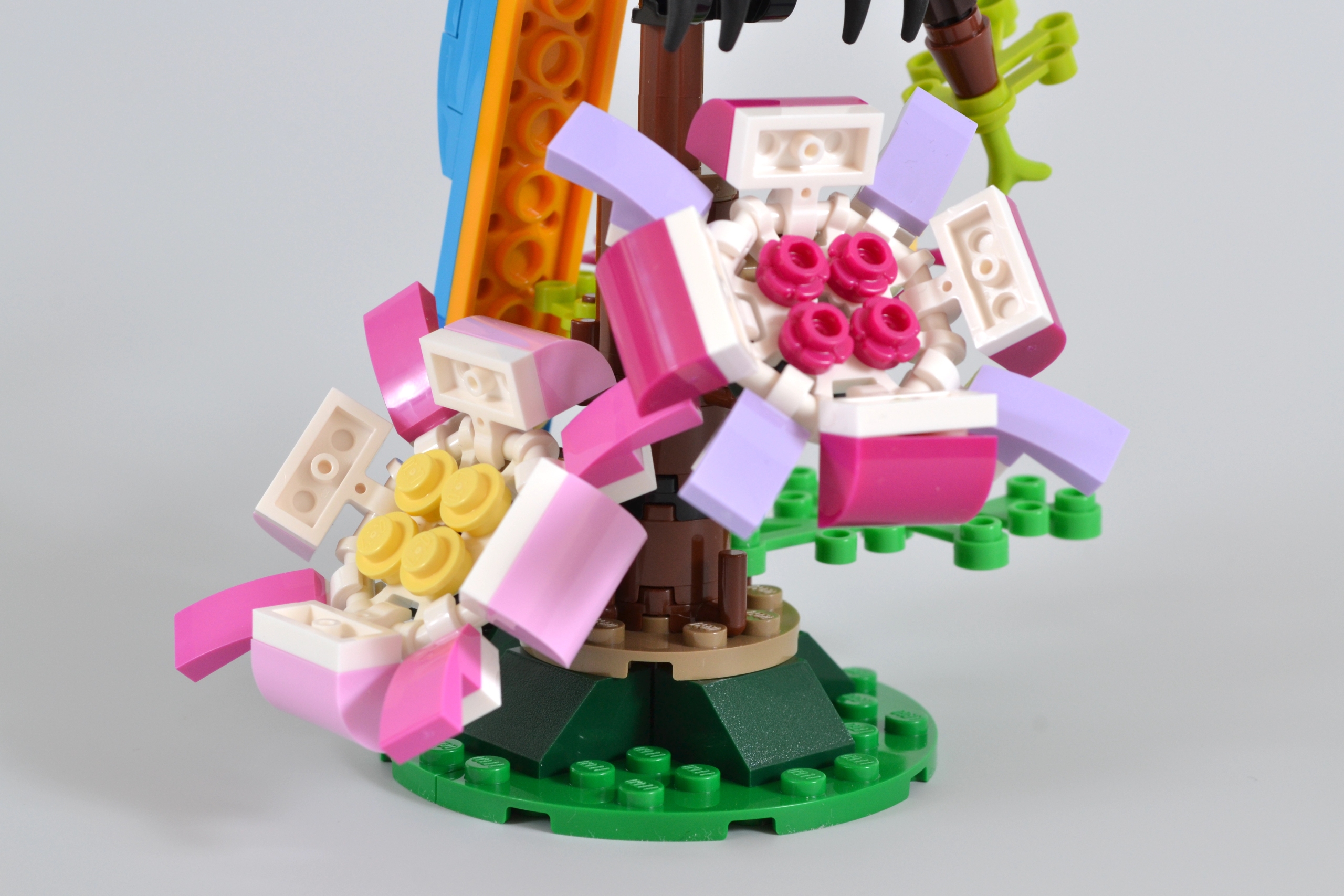 DSC 1047 1 scaled