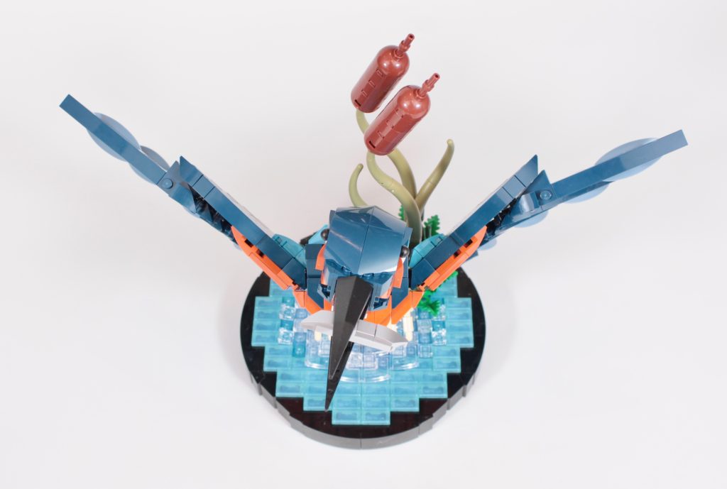 LEGO Icons 10331 Kingfisher Bird review 21 1024x689