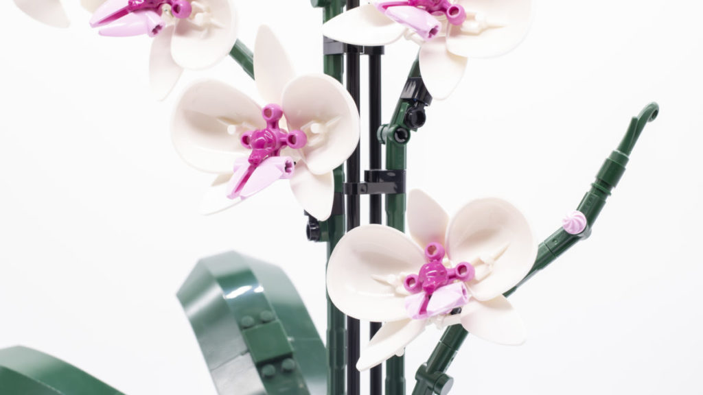 LEGO Botanical Collection 10311 Orchid 19 1024x576