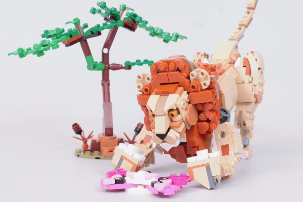 LEGO Creator 3 in 1 31150 Wild Safari Animals review 40 1024x683