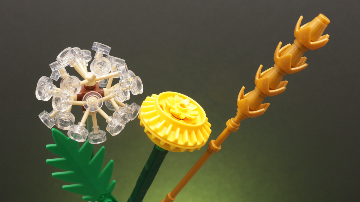 LEGO Botanicals 30701 Field Flowers review
